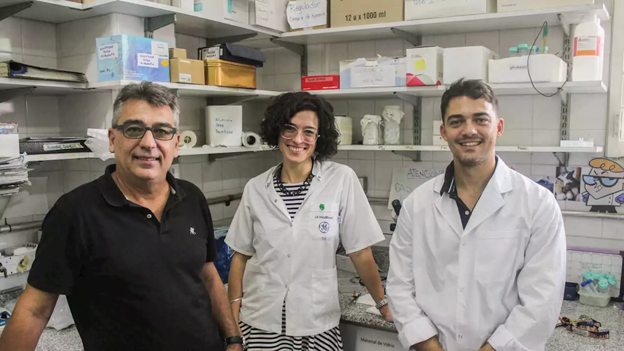 Reposicionamiento de drogas para tratar al cáncer, la técnica que investigan científicos argentinos | Del laboratorio a la clínica