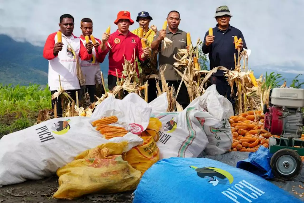 Sekda Papua: Program Papua Muda Inspiratif bersama BIN Cerahkan Masyarakat |Republika Online