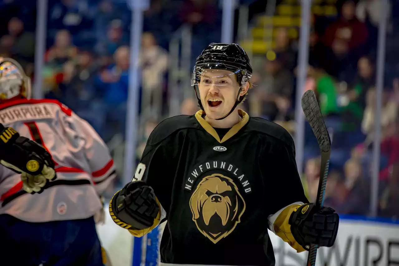 Playoff status achieved: Newfoundland Growlers punch their ticket to the playoff dance with a win Saturday night | SaltWire