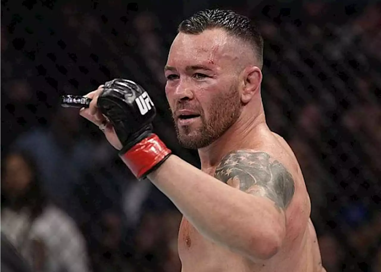 Dana White: Colby Covington to Get Next UFC Welterweight Title Shot