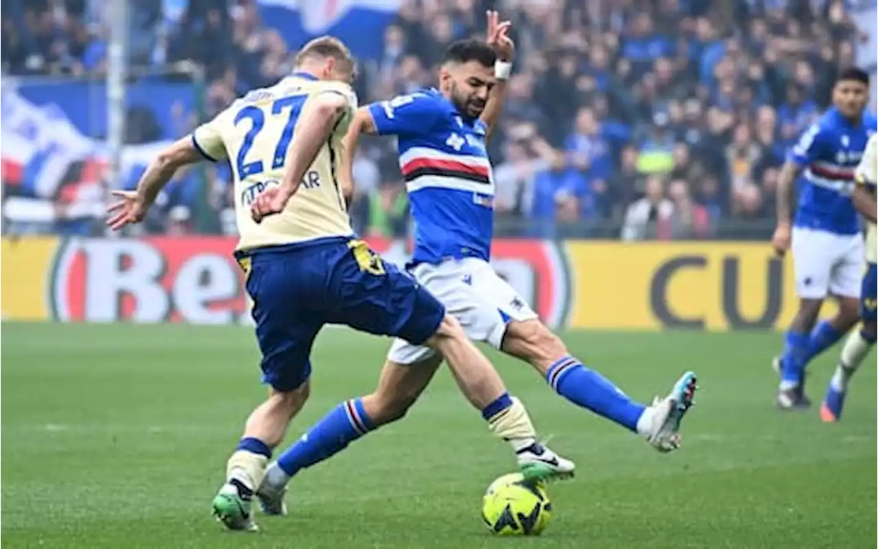 Sampdoria-Verona 1-0 LIVE, Gabbiadini la sblocca