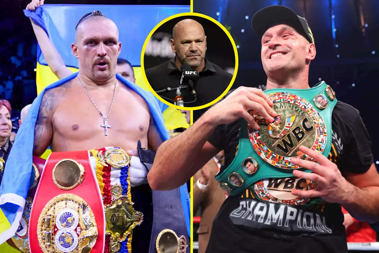 UFC president Dana White slams ‘shocking’ delay in booking Tyson Fury vs Oleksandr Usyk