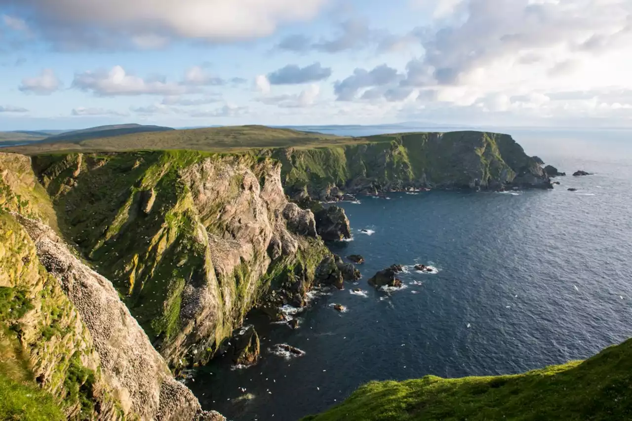 David Attenborough's BBC Wild Isles series leads to spike in interest for Shetland holidays