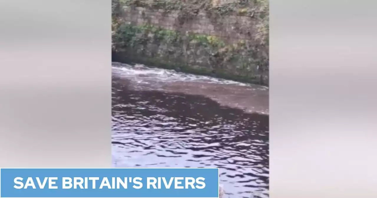 Watchdog didn't prosecute water firm for river pollution as it ‘wouldn’t cause lasting damage’