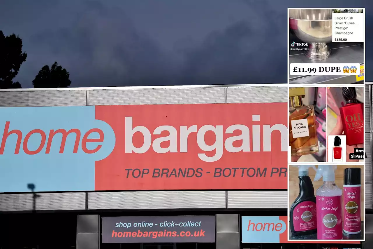 Five dupes you should buy at Home Bargains which could save you over £100