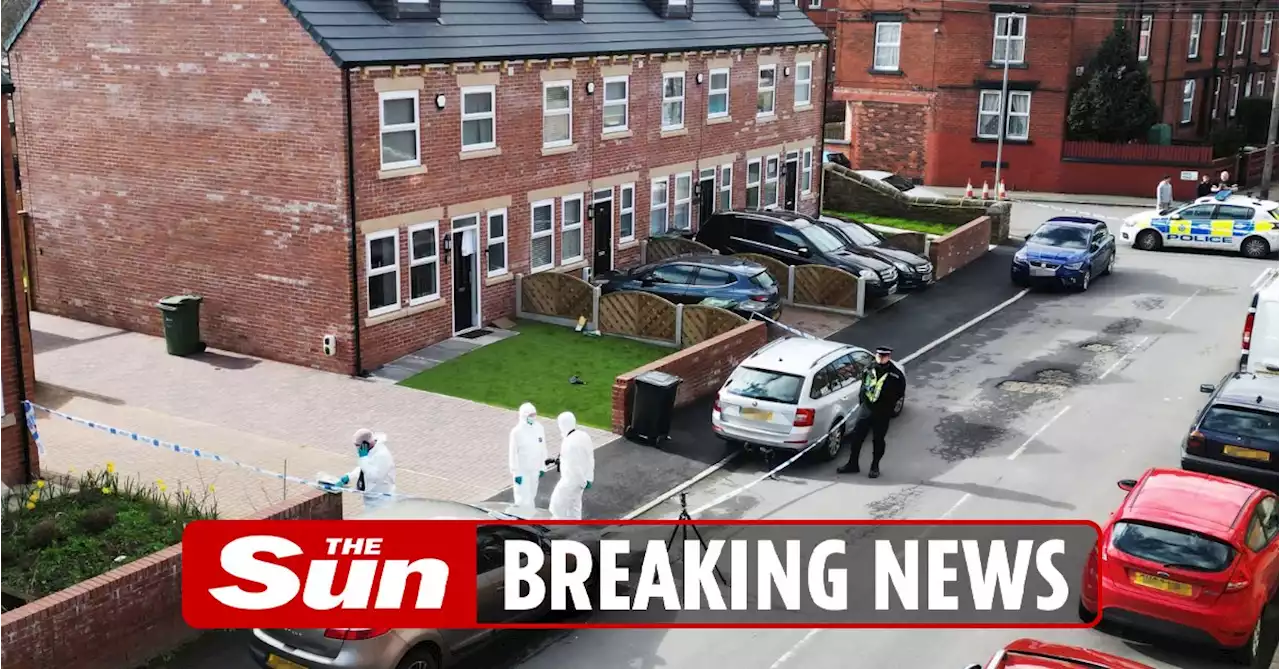 Teenage boy, 17, stabbed to death at house party as cops launch murder probe