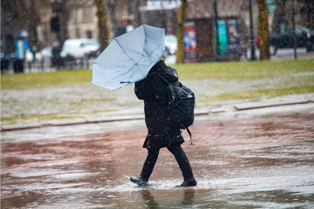 A warm and wet winter comes to a close in Boston