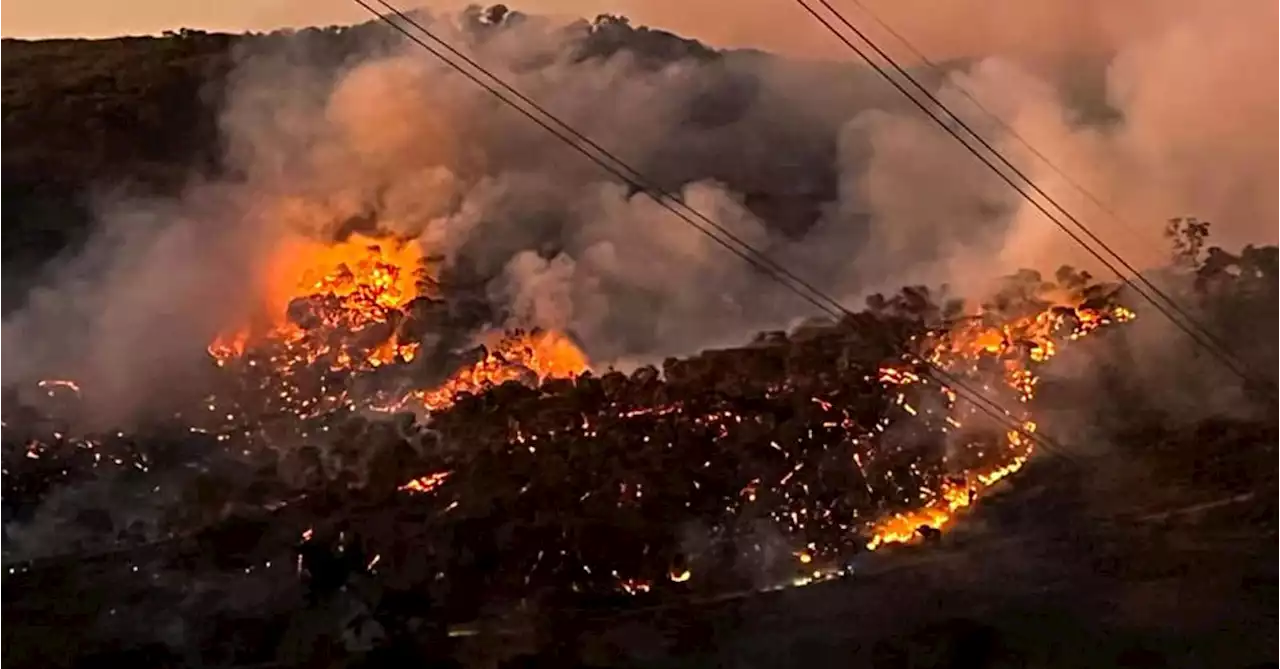 Residents told to 'leave now' as bushfire remains out of control north-east of Melbourne