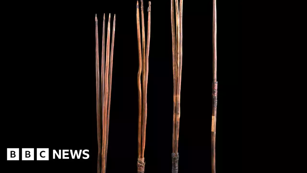 Aboriginal spears taken by Captain James Cook to be returned to Australia