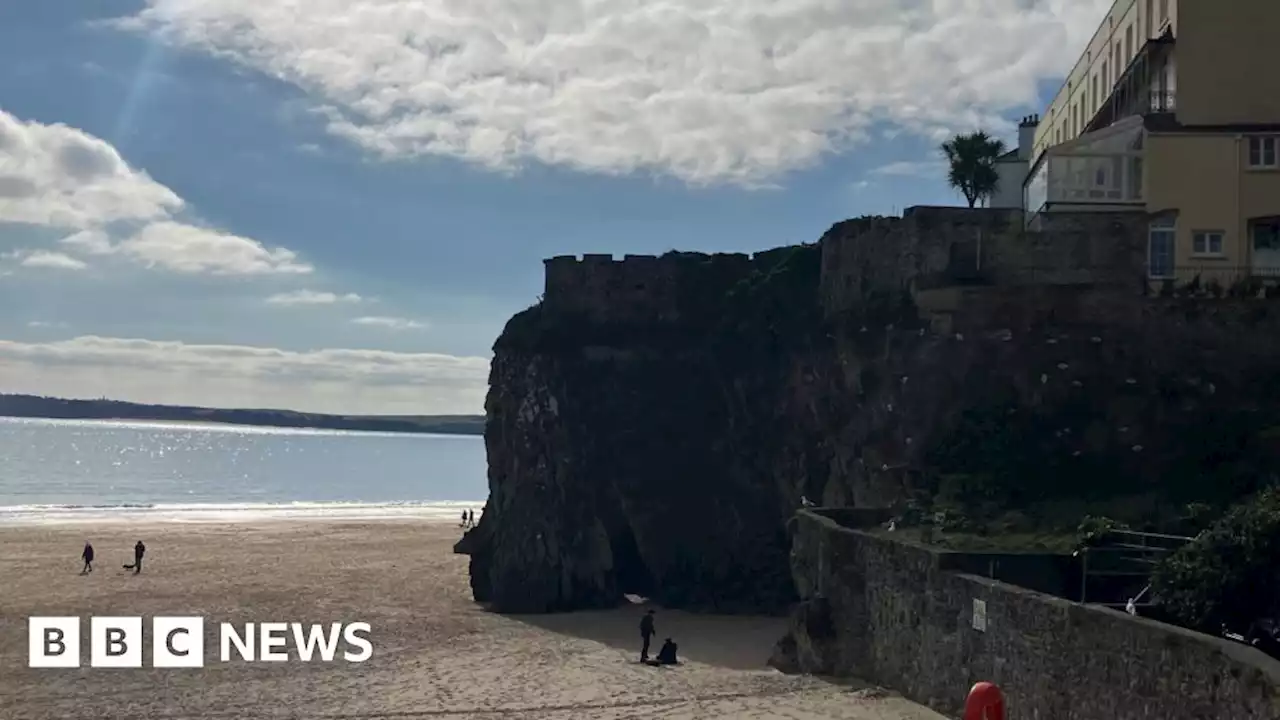 Tenby: Cliffs plagued by cat-size rats, say residents