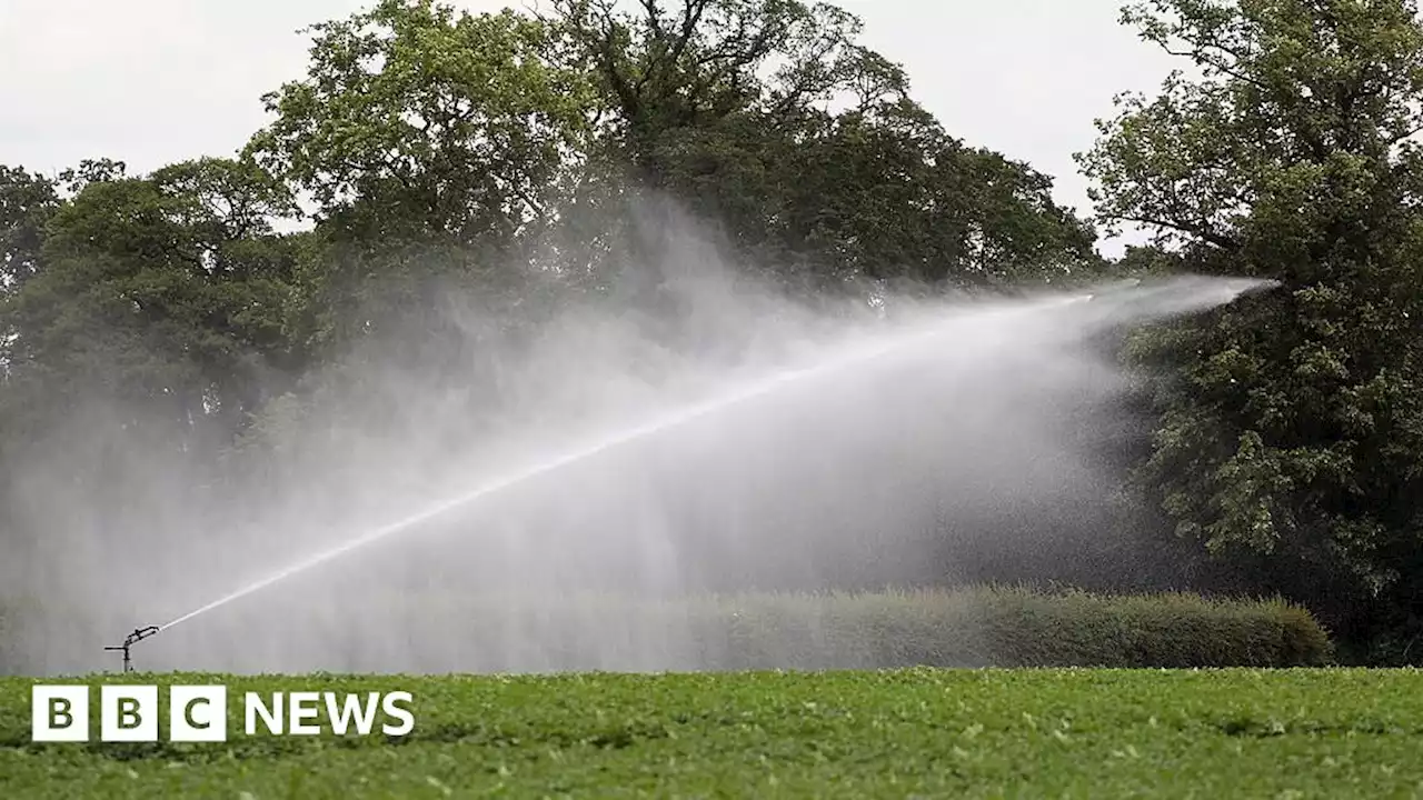 East of England has driest February since 1959