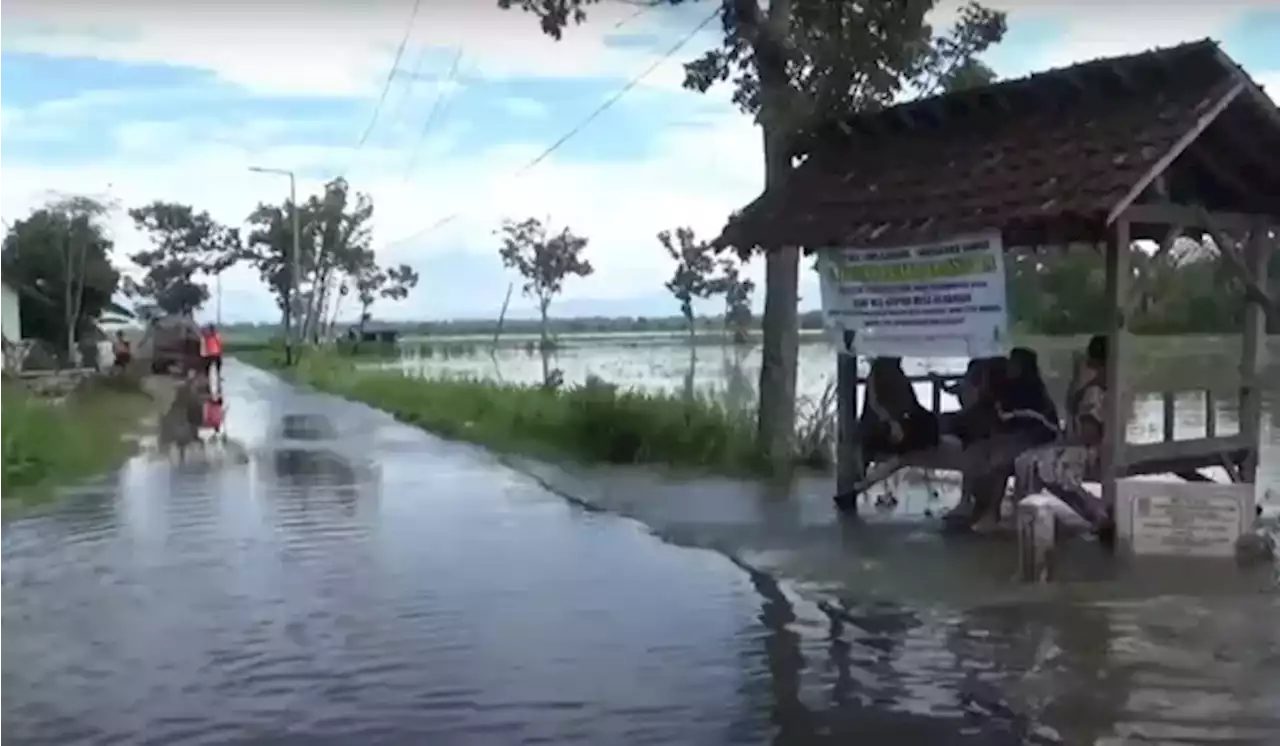 Akibat Banjir, 120 Hektare Lahan Pertanian di Lumajang Terancam Gagal Panen