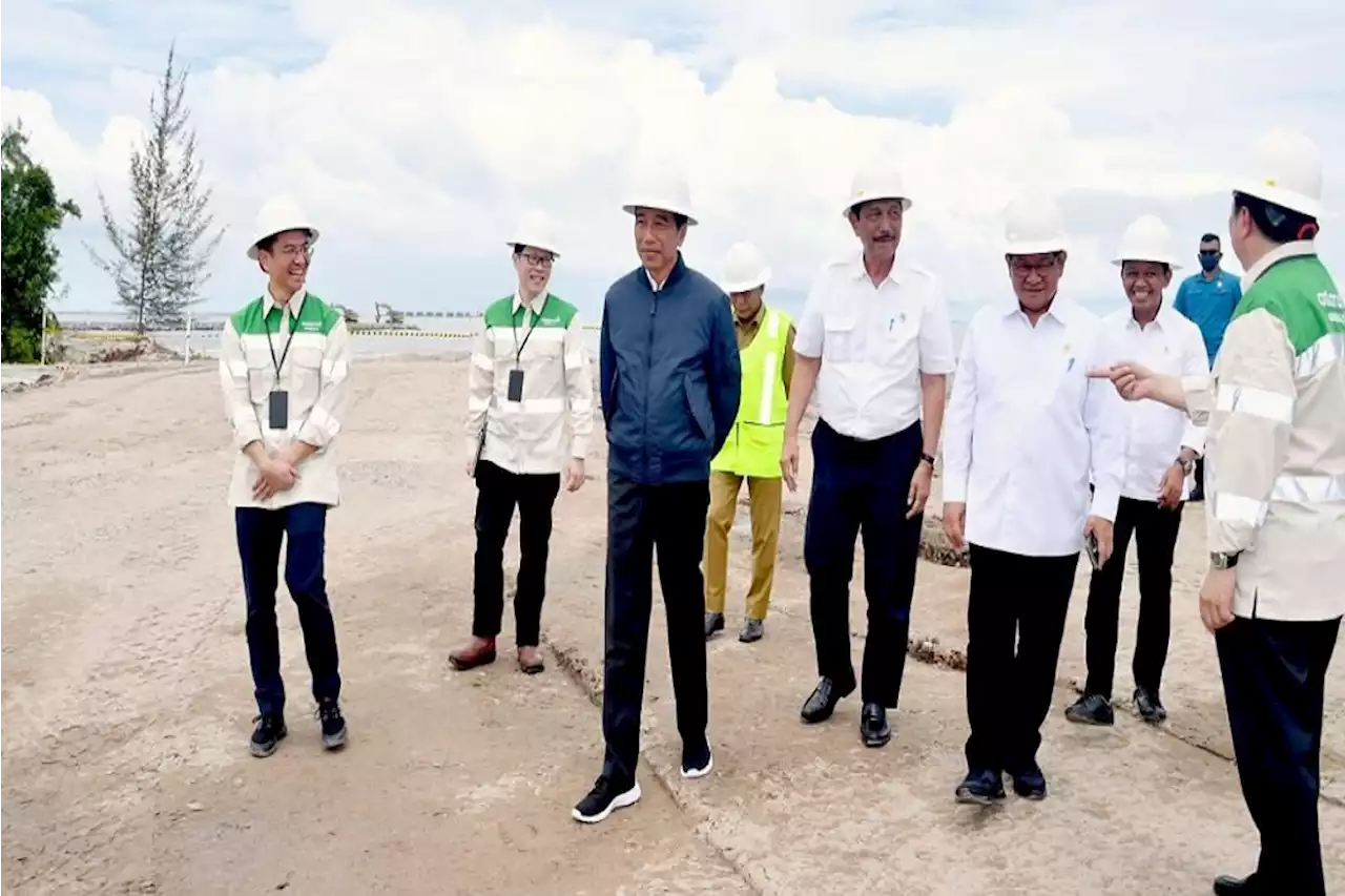 Disambangi Jokowi, Grup Adaro ADMR Sampaikan Progres Smelter Terbesar di Indonesia