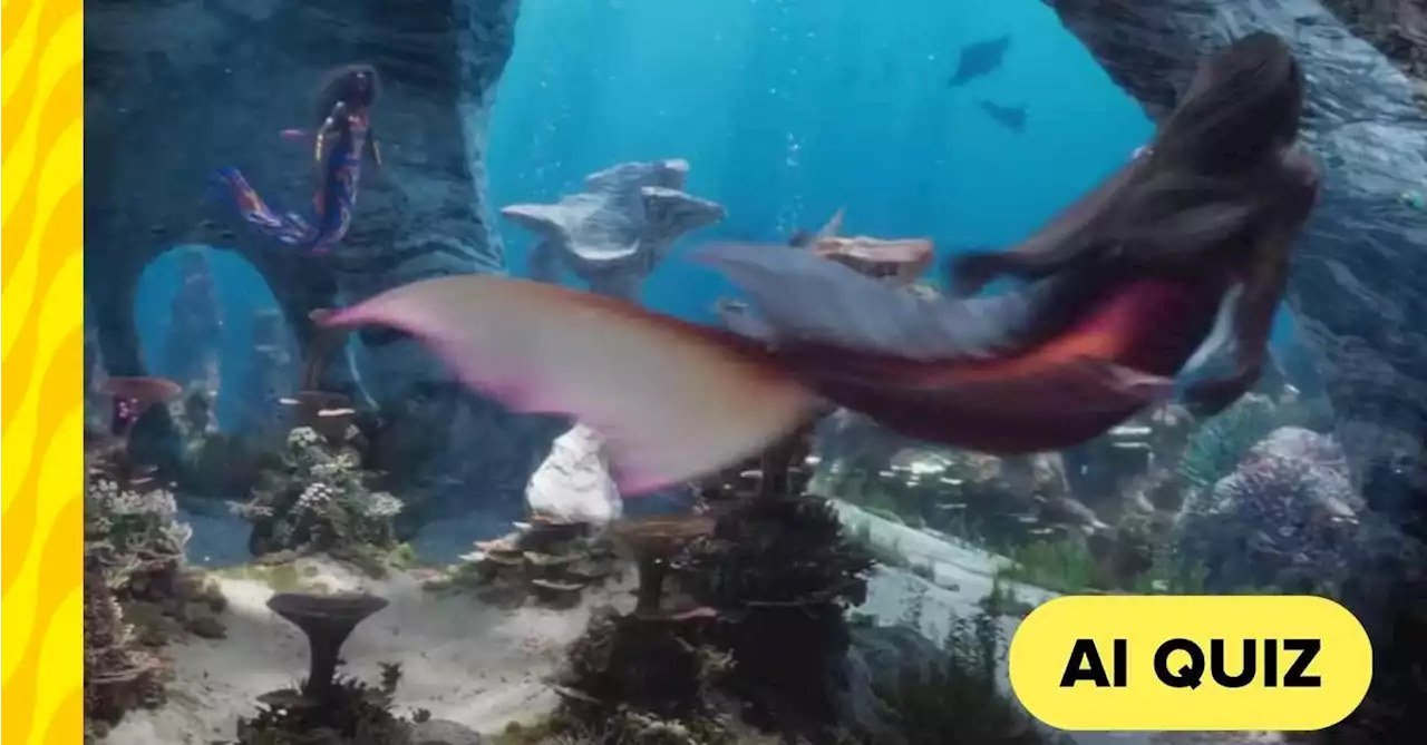 This AI-Powered Quiz Will Envision Your Dazzling Life As A Mermaid