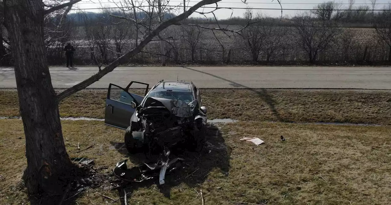 Gurnee man intentionally drives into tree during argument, seriously injuring himself and passenger, authorities say