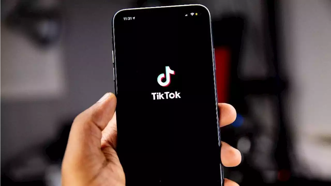 Kina: Tiktok-förbud sänker förtroendet för EU