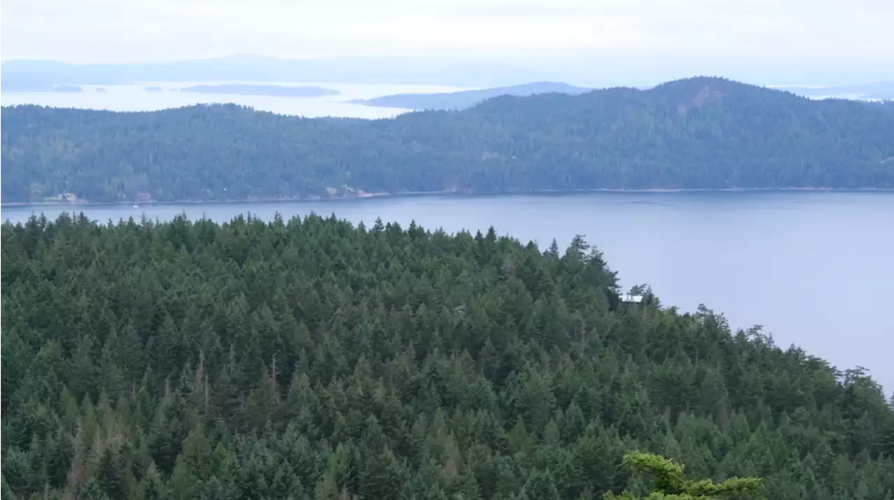 New land conservancy will help save B.C. island's precious 'popcorn bowl'