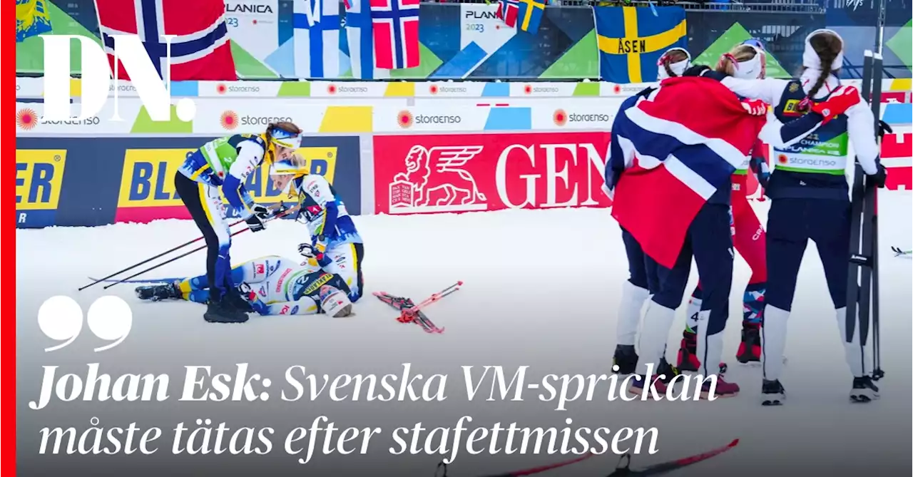 Johan Esk: Svenska VM-sprickan måste tätas efter stafettmissen