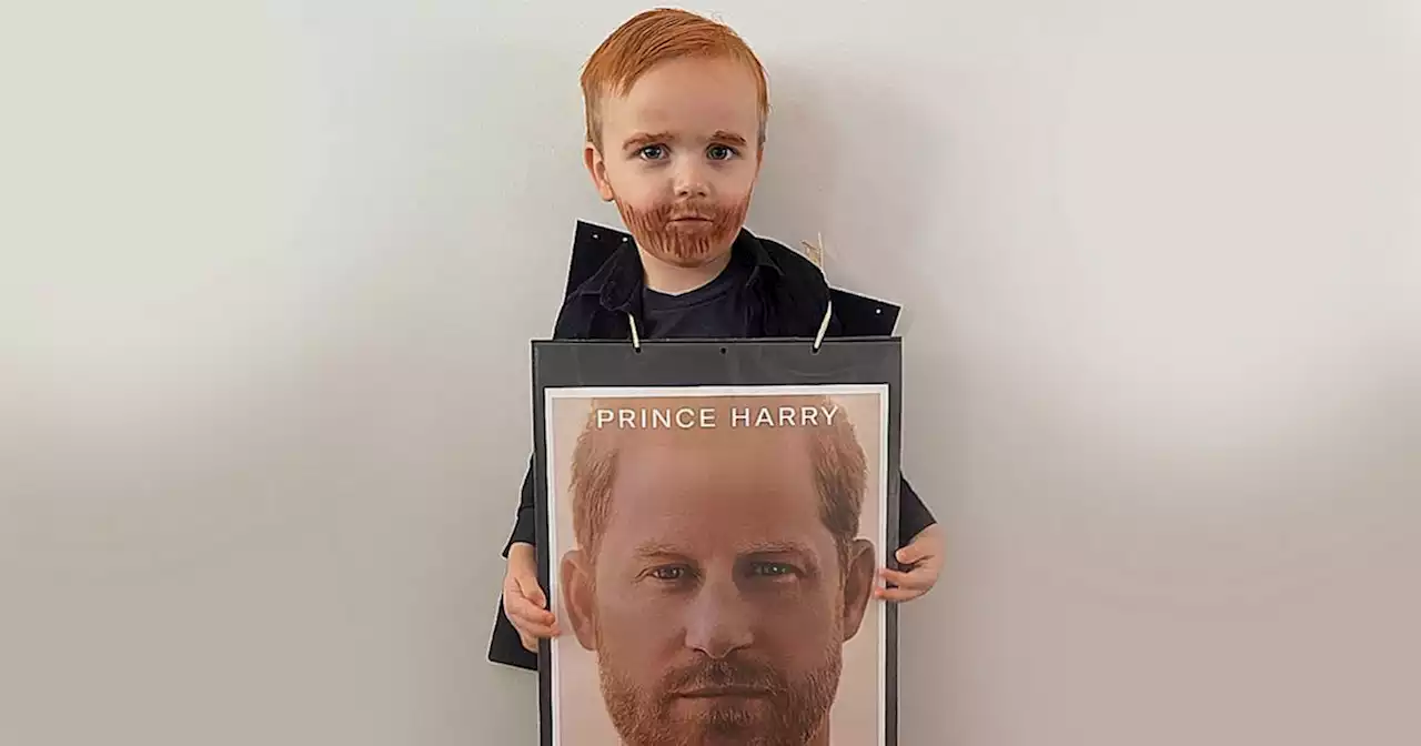 World Book Day Prince Harry costume delights royal fans as duke's double