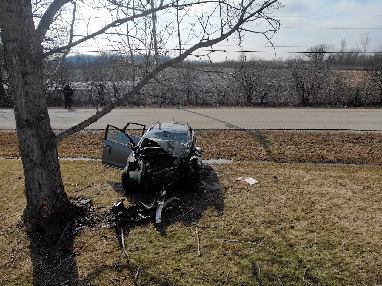 Gurnee man intentionally crashed into tree in Beach Park, sheriff's office says