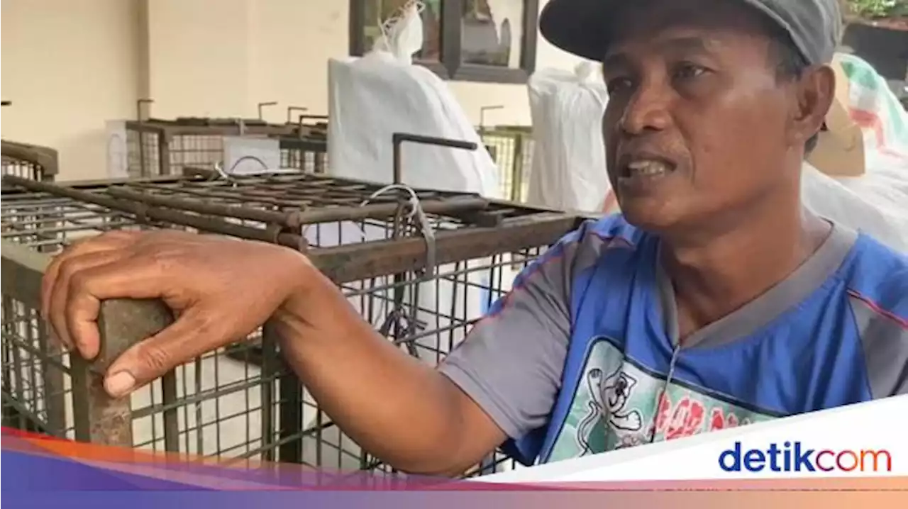 Tangis Pelatih Topeng Monyet di Madiun Serahkan Monyet Kesayangan ke BKSDA