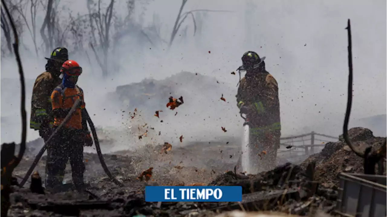 'Megasequías' e incendios forestales azotan varios países de América Latina