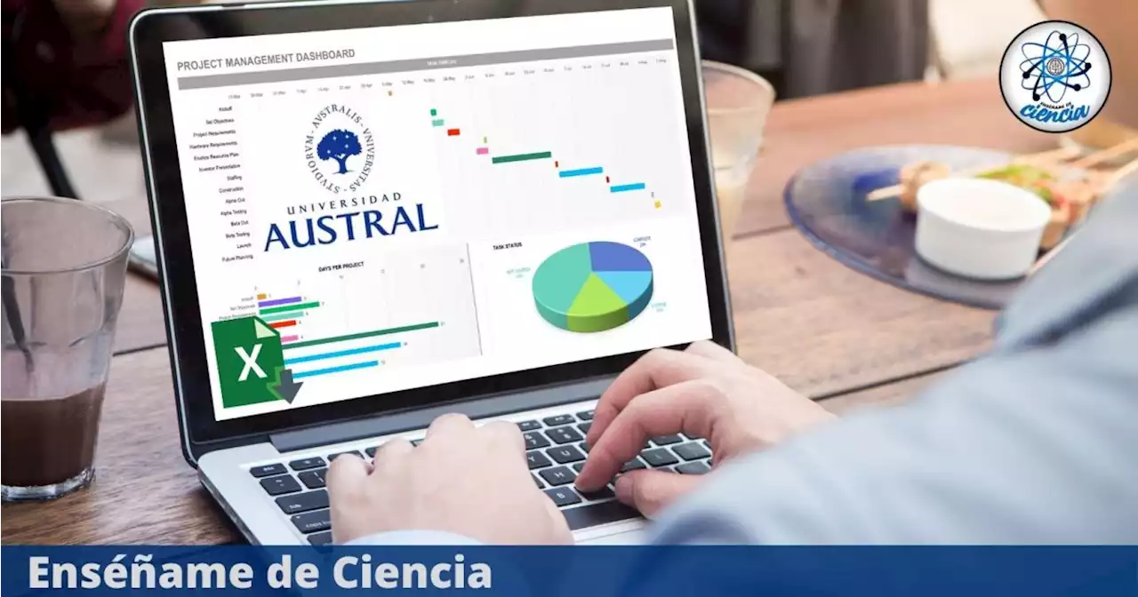 Curso gratuito de Excel para NEGOCIOS: mejora tus habilidades con esta capacitación especializada