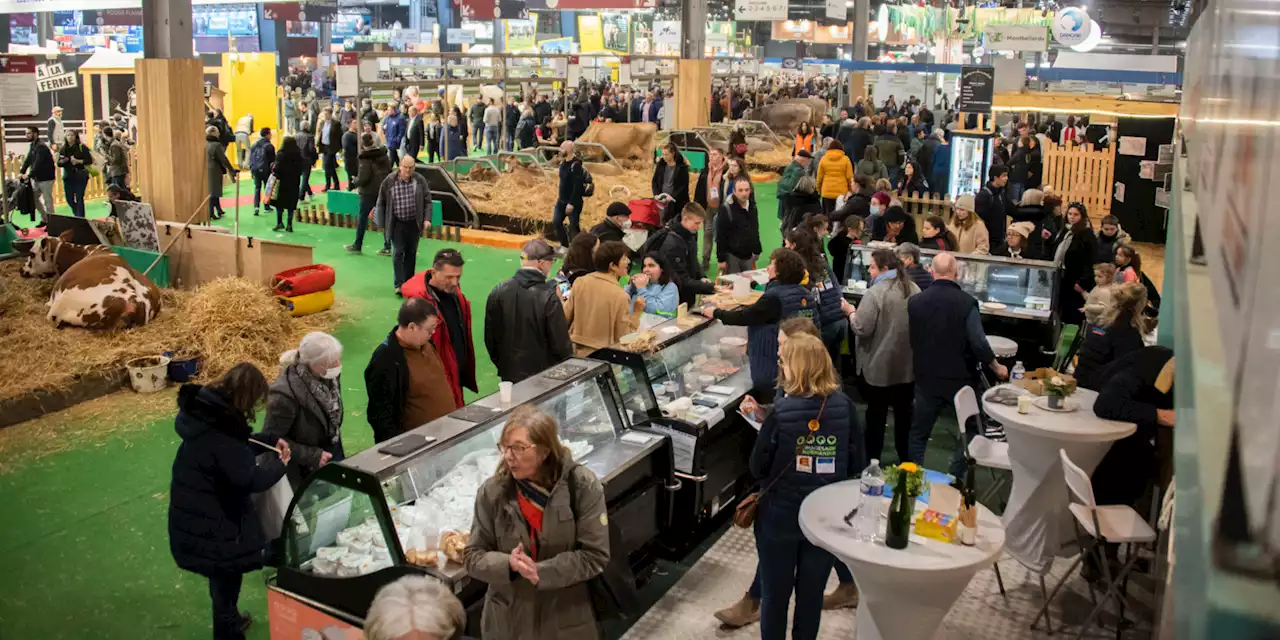 Salon de l'Agriculture 2023 : cette 59e édition est-elle vraiment une «beuverie» généralisée ?