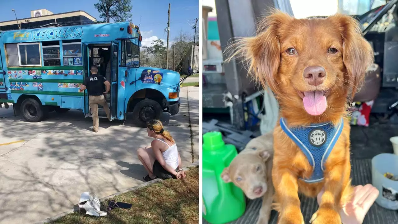 Meth and puppies found inside ice cream truck in Louisiana, police say