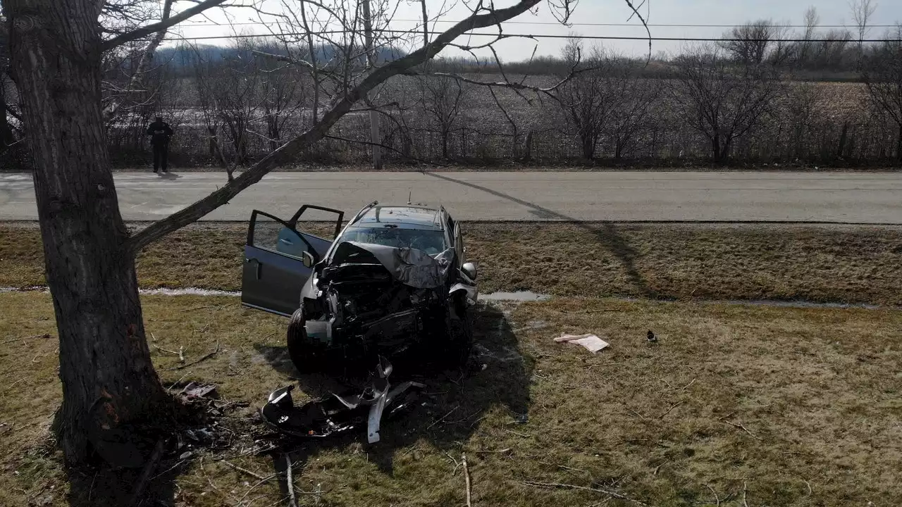 Illinois man intentionally drove car into tree during argument with passenger: sheriff's office