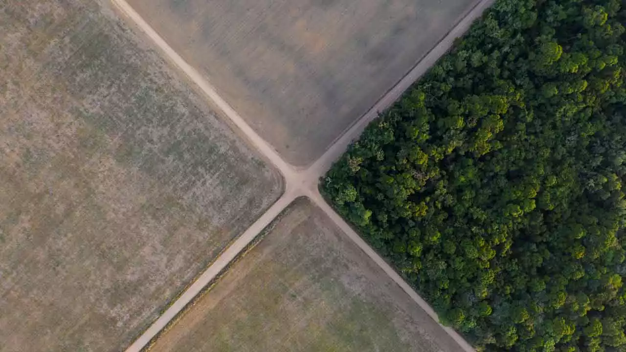 Forest protection summit underway in Gabon, some countries believe protecting forests needs to be profitable