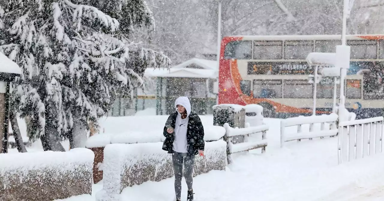 Glasgow weather as snow and freezing -5C temperature forecast within days