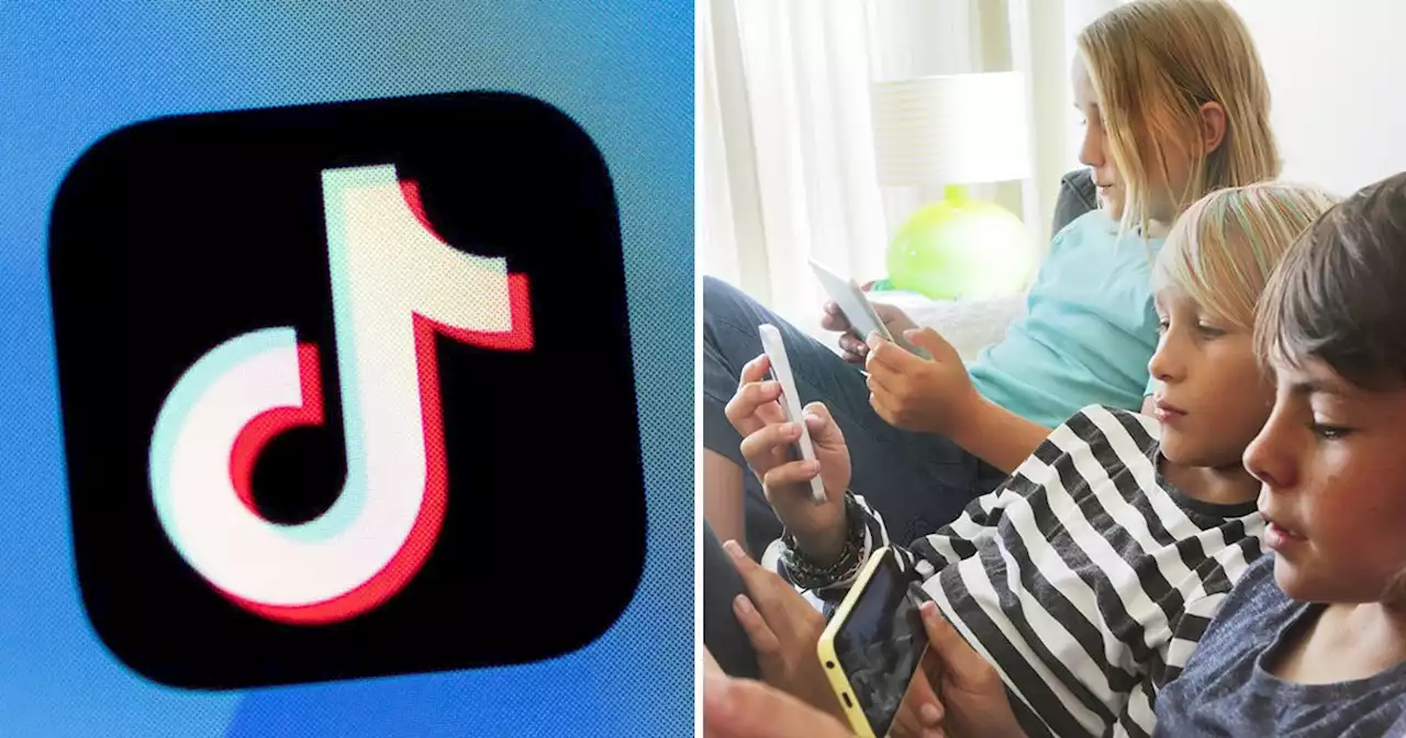 Parents given control over children's TikTok use with daily screen limit