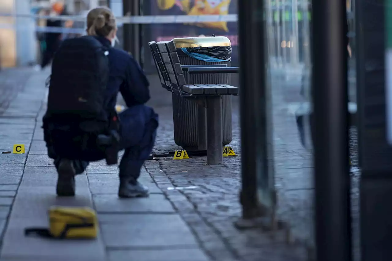 Flickan som knivskars vid Brunnsparken är från Nederländerna