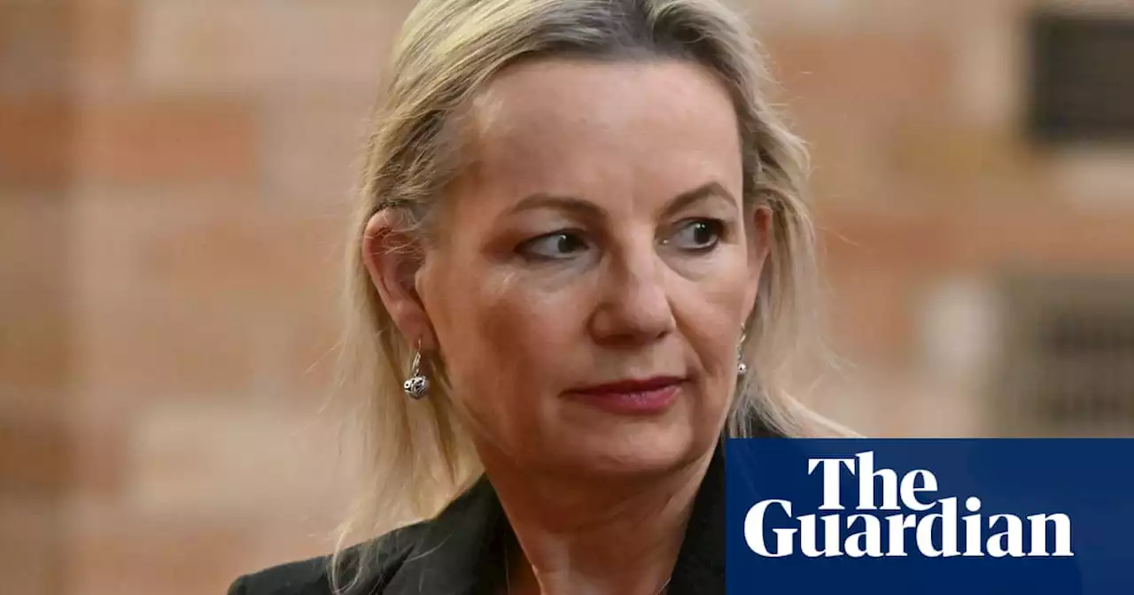 ‘I want it now’: Liberal powerbroker sought to take over Sussan Ley’s seat, NSW inquiry told