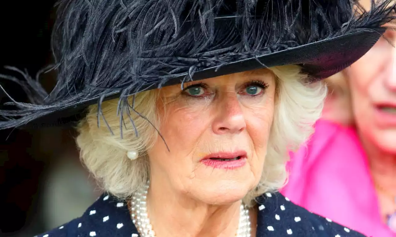 Queen Consort Camilla 'howled' every night over childhood passion