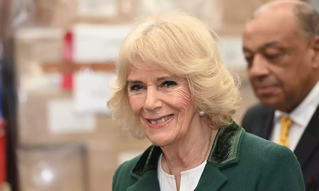 Queen Consort Camilla opens up about bonding with her grandchildren