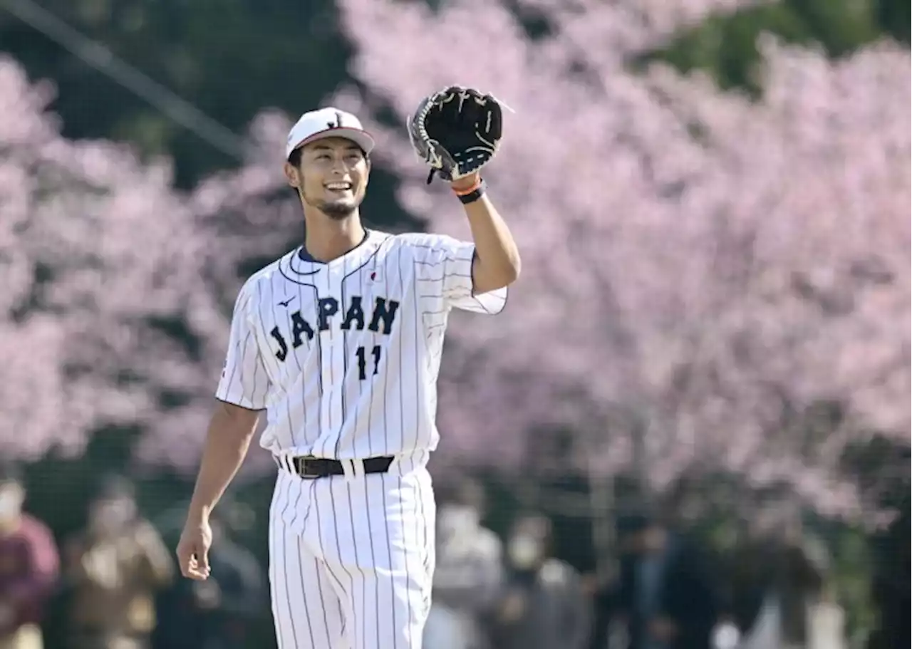 ダルビッシュ有「僕はこういう雰囲気が好き」 WBC直前キャンプで後輩と和気あいあい - トピックス｜Infoseekニュース