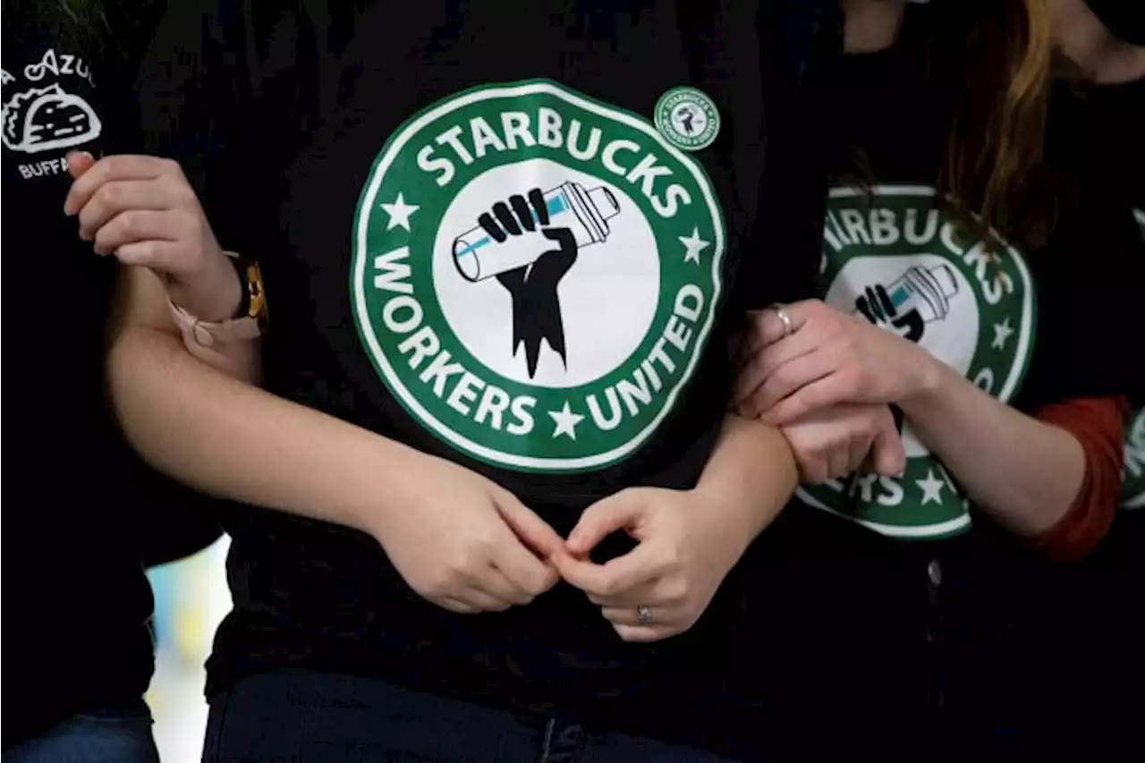 Labor judge: Starbucks violated worker rights in union fight