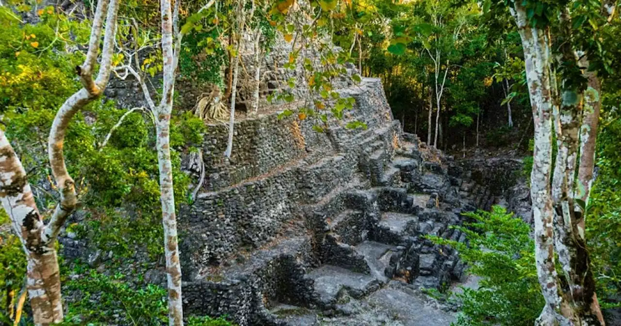 Jaguars, narcos, illegal loggers: One man's battle to save a jungle and Maya ruins