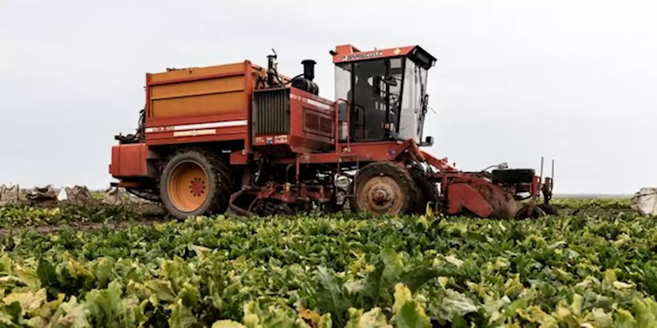 Agriculture : le gouvernement débloque 400 millions d'euros pour l'achat d'équipements « innovants »