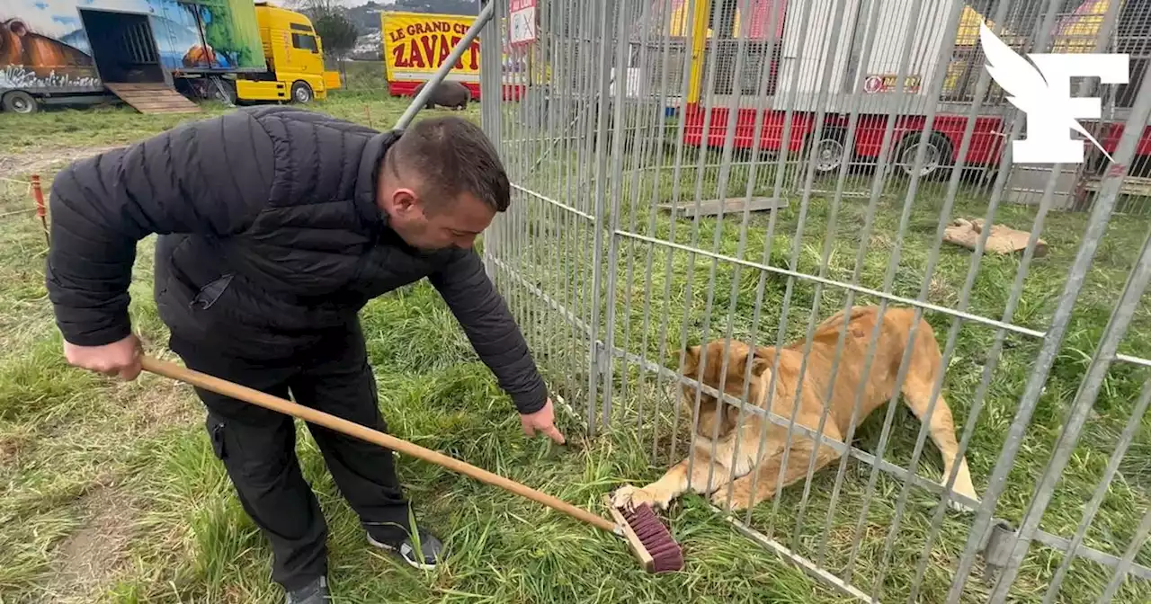 «Un génocirque» : à Nice, la riposte du cirque Zavatta aux attaques de Christian Estrosi