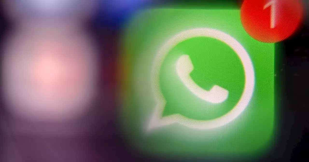 WhatsApp en France, la vie en boucles