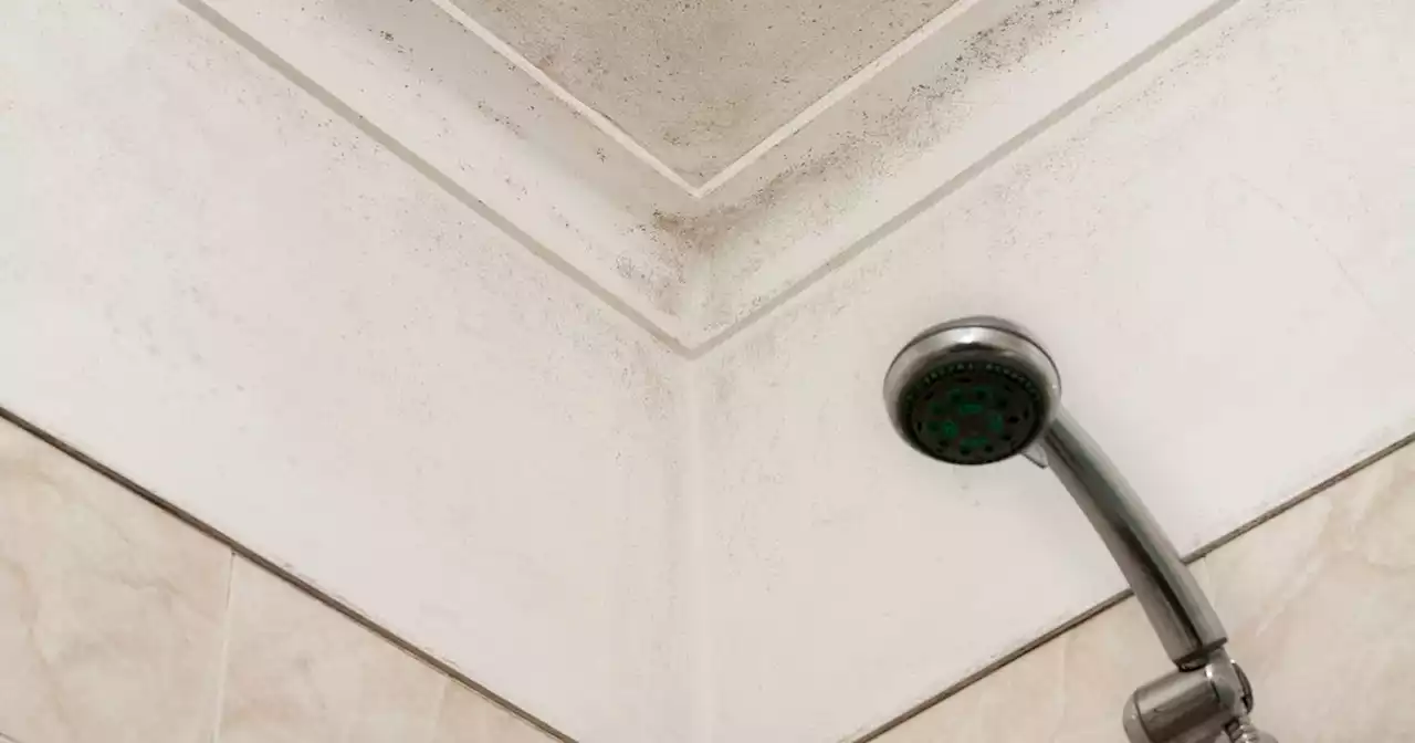 Crackdown after Pendle homes left without hot water and covered in mould