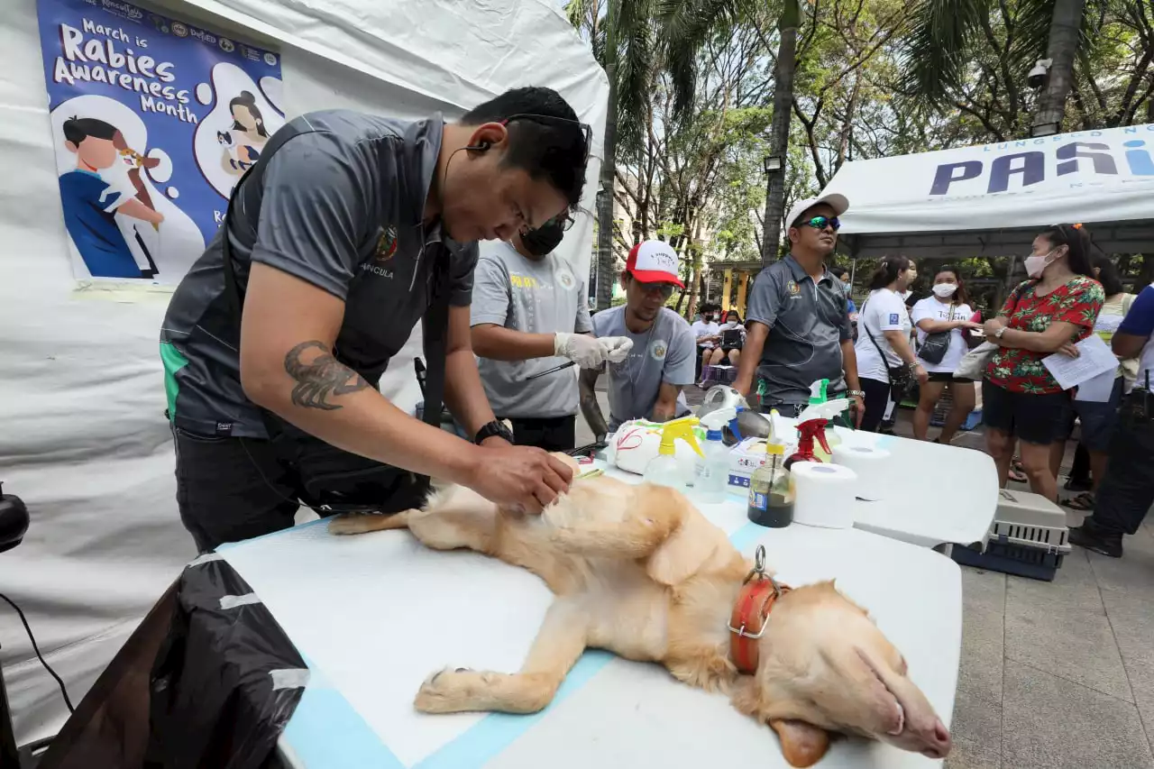 Pets get free veterinary services as Pasig City kicks off Rabies Awareness Month