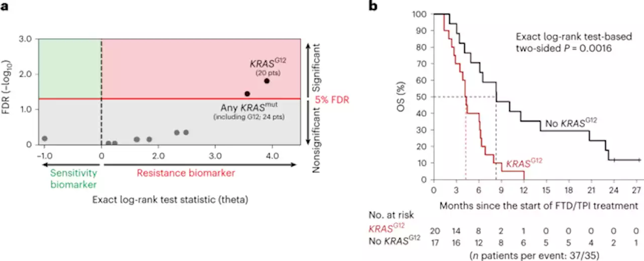 Codon-specific KRAS mutations predict survival benefit of trifluridine/tipiracil in metastatic colorectal cancer - Nature Medicine