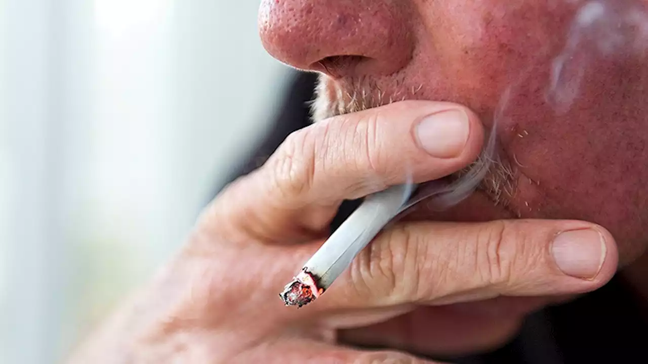 Myths About Smoking, Diet, Alcohol, and Cancer Persist