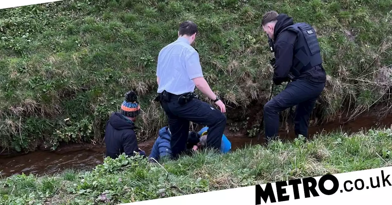 Strangers formed human chain to save woman who fell in river