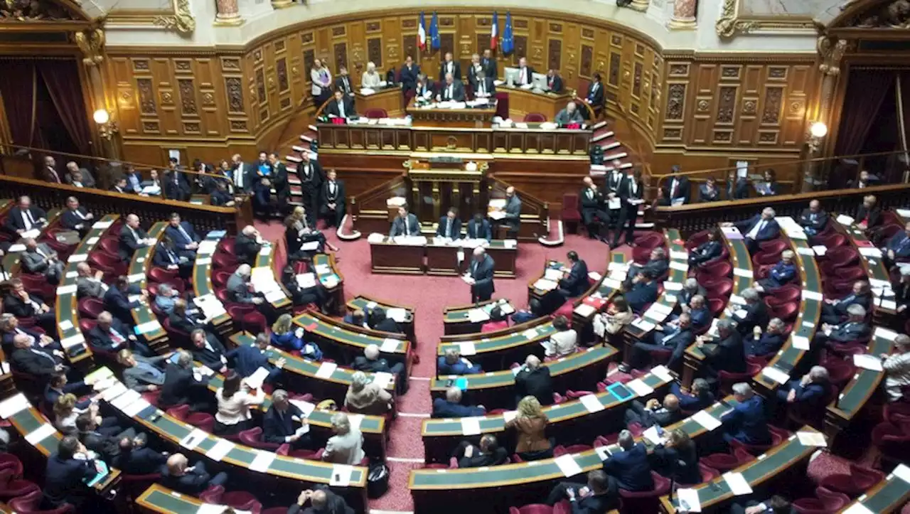 Réforme des retraites : l'examen du texte commence ce jeudi au Sénat, quels sont les enjeux ?