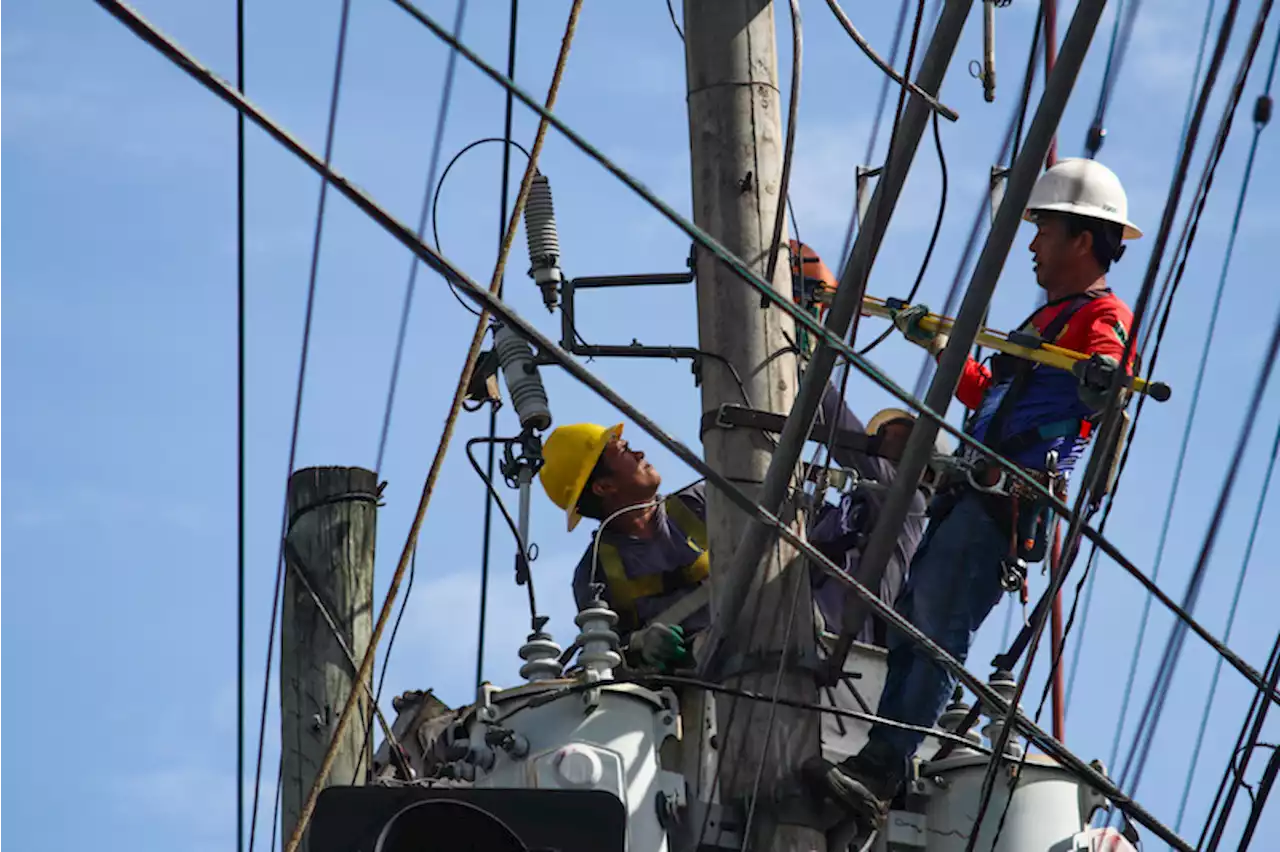 Group says tapping power from private firm to result in higher electricity costs in Samal